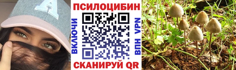 Псилоцибиновые грибы прущие грибы  Томари 