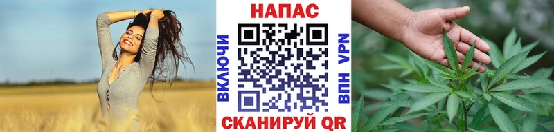закладка  Томари  Конопля индика 